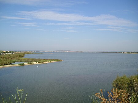 Sud Etang Mejean 15072006