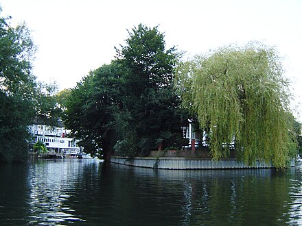 End of Sunbury Court Island from upstream SunburyCourtIsle01.JPG