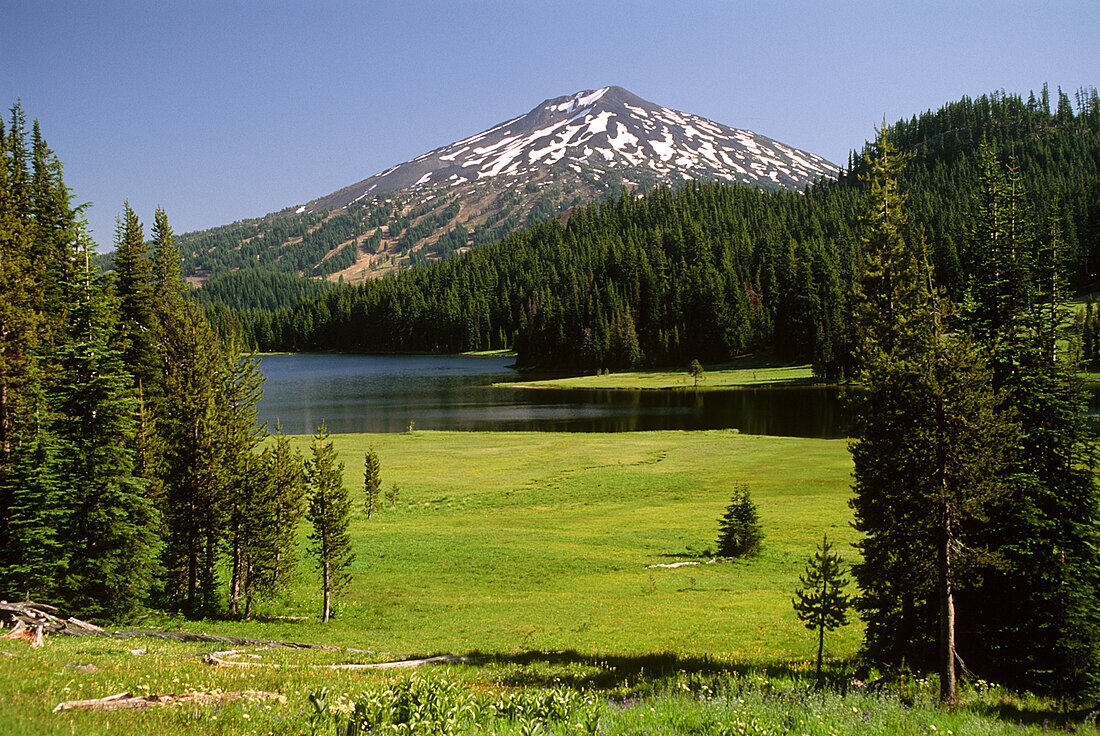 Deschutes National Forest