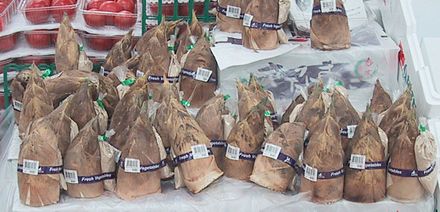 Unprocessed bamboo shoots in a Japanese market