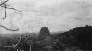 Temple V, Tikal, Guatemala 1923.tif