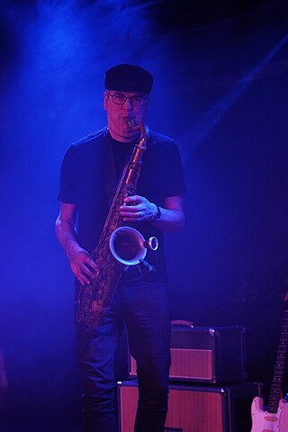 <span class="mw-page-title-main">Theo Travis</span> British saxophonist, flautist and composer
