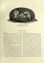 Thumbnail for File:The book of the cat BHL23996457.jpg