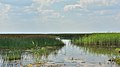 Panorama vanaf de kust naar het zuiden