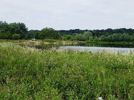 Thorpe Marshes 7