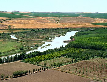 Tigris River At Diyarbakir.JPG