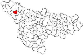Tomnatic Commune in Timiș, Romania