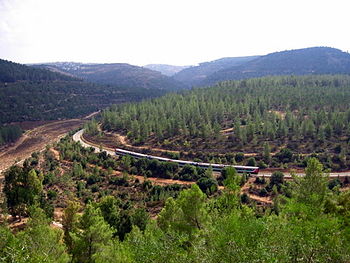 רכבת IC3 עולה בנחל רפאים