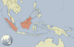 Trichys fasciculata distribution map.png