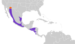 Trogon elegans map.svg