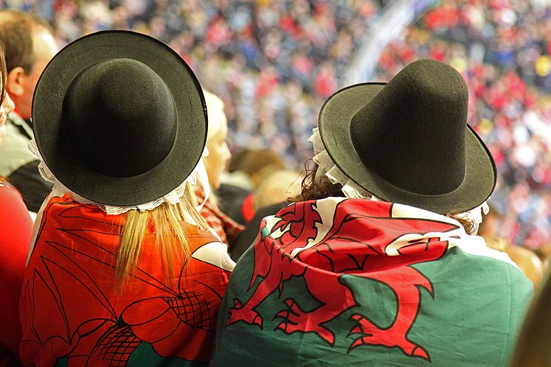 File:Two Welsh Dragons par zoonabar.jpg