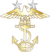 АҚШ - NJROTC MCPO insignia.svg