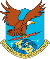 * Nomination Vectorized badge of USAF Aerospace defense command --痛 02:46, 10 March 2023 (UTC) * Promotion  Support Good quality --Mister rf 08:28, 11 March 2023 (UTC)