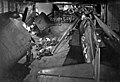 Zbrojíři připravují dvě 500kg a jednu 250kg bombu mezi stíhacími Hellcaty na hangárové palubě letadlové lodi USS Yorktown na konci roku 1943. V pozadí další členové posádky sledují promítání filmu.