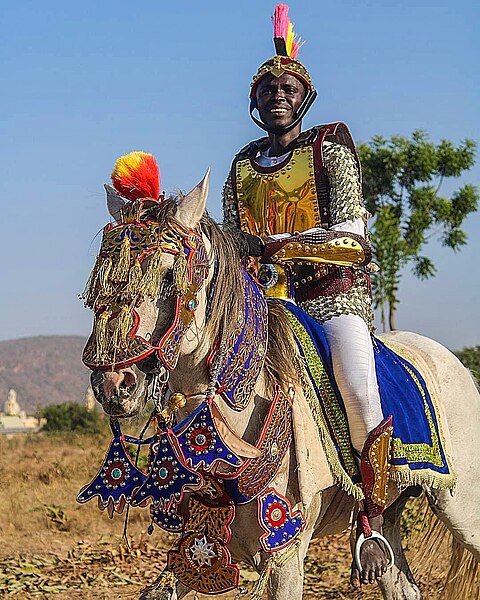 File:Un cavalier de la garde royale.jpg