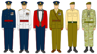 Military uniform Standardised military dress