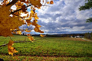Vermont: Geografie, Klimaat, Fauna en flora