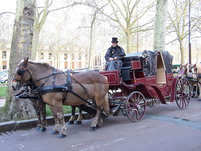 File:Versailles Horse-drawn landau 2006-11-13.jpg