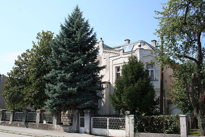 File:Vila Tucovića, Valjevo 01.jpg