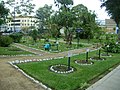 Ботанічний сад лікарських рослин
