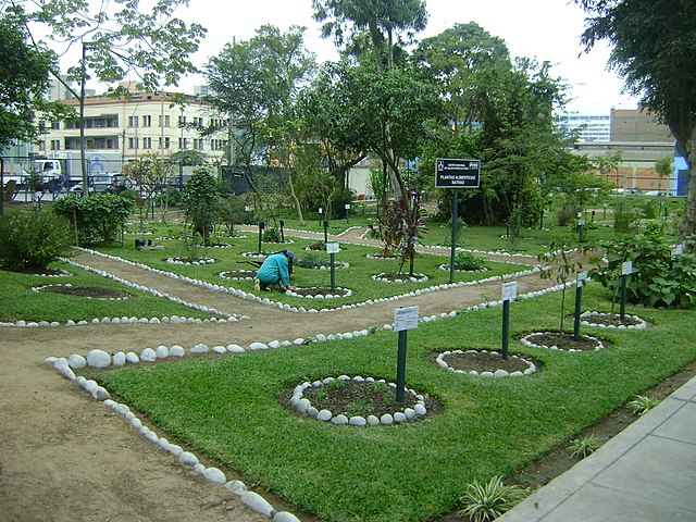 Vista general del Jardín Botánico de Lima
