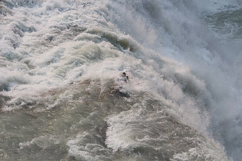 File:Wapta Falls IMG 4975.JPG