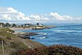 View of Natural Bridges State Beach and West Cliff Drive.