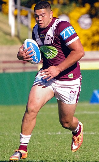 <span class="mw-page-title-main">Willis Meehan</span> New Zealand-Australian rugby league footballer and boxer