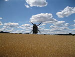 Windmühle Diesdorf.jpg
