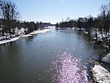 English: Wkra River near Goławice and Śniadówko in winter Polski: Wkra w okolicy Goławic i Siadówka