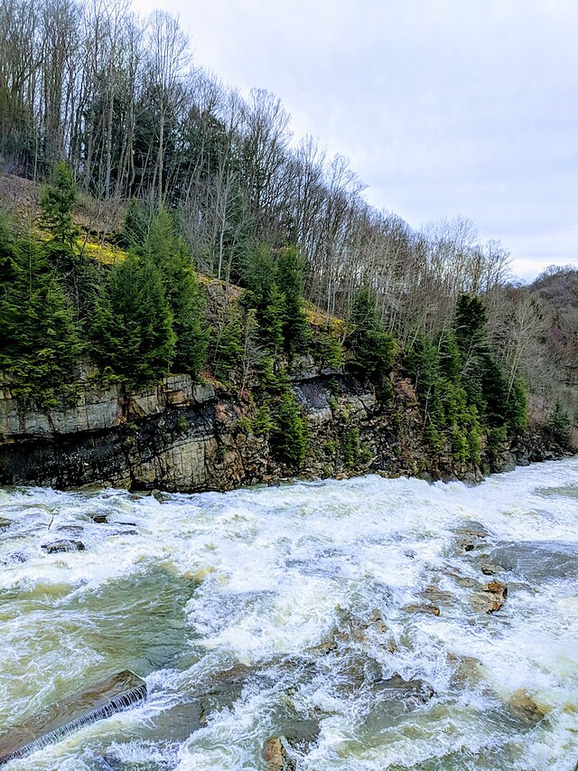 Yellow Creek State Park - Wikipedia