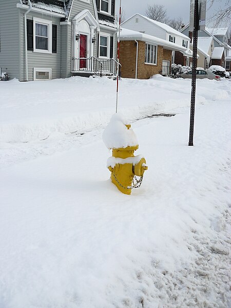 File:Yellow fire hydrants - under snow02.JPG