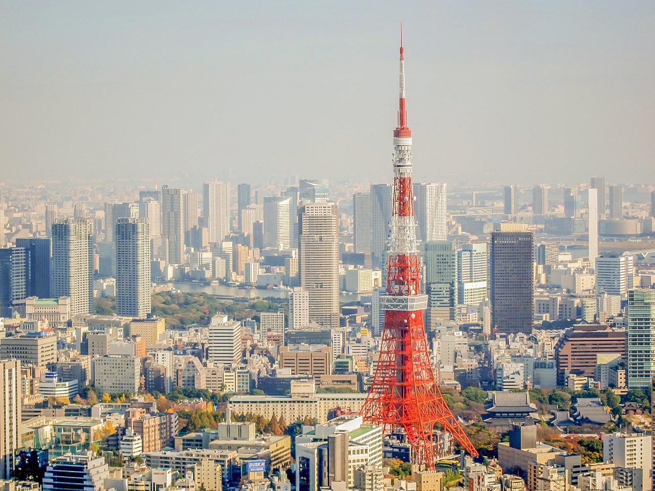 ファイル:東京タワー (214699253).jpeg - Wikipedia