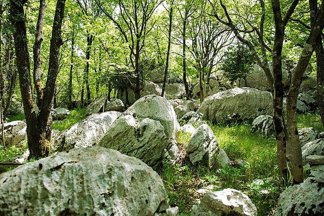 Karst Living Museum