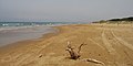 Γιανισκαρι Παραλια Κοντα Καλογρια - Gianiskari Beach - Yaniskari Beach - panoramio.jpg
