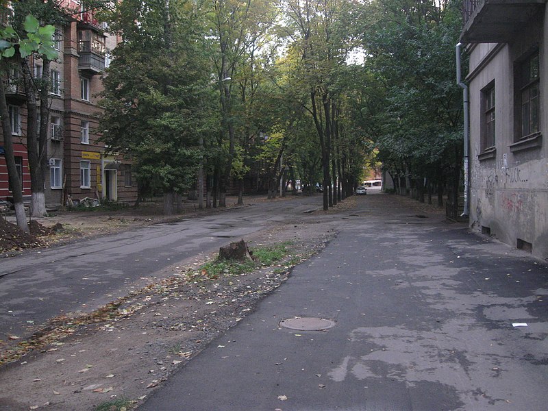 File:Вулиця Данилевського (Харків) (3).jpg