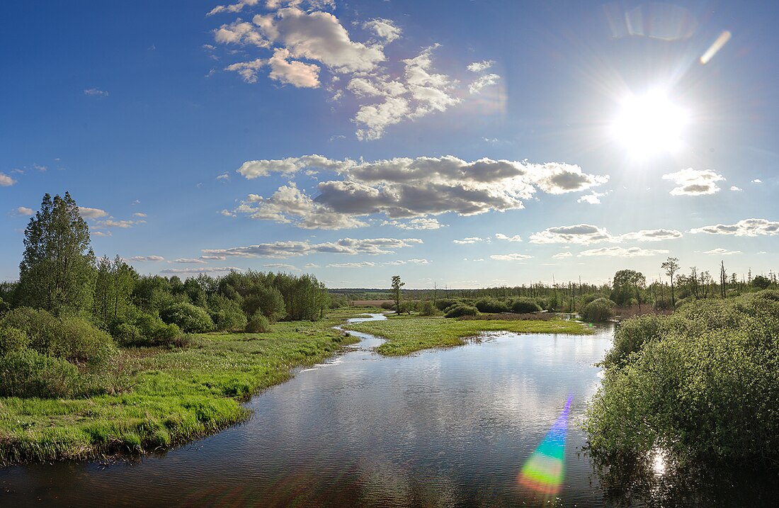 Згарський заказник