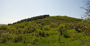 Панорама квітучого схилу Михайлопільского Яру