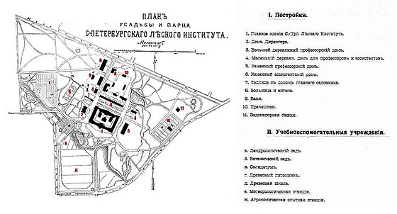 План леса