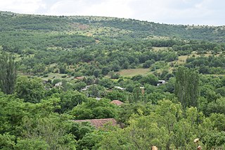 Поглед на село Војница.jpg