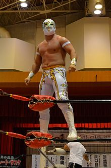 Caristico, who along with Mistico defended the CMLL World Tag Team Championship in the main event. karisuteiko.jpg