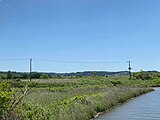 多古光湿原（横芝光町側）