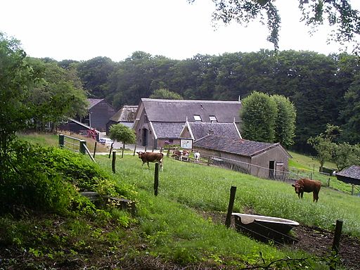 07070020boerderijloobergen