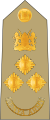 13. Kenianische Armee BG.svg