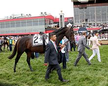 Cloud Computing prior to the Preakness 142nd Preakness Stakes Pimlico Race Course (34438641540).jpg