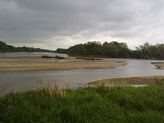 The Bec d'Allier at Cuffy : confluence of the Allier and the Loire.