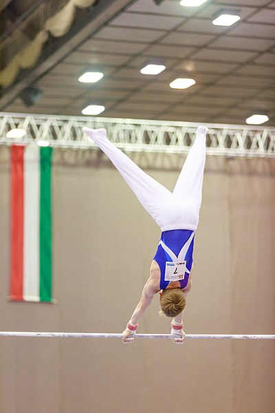 File:15th Austrian Future Cup 2018-11-24 Aidan Jordaan (Norman Seibert) - 10919.jpg