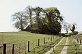 Candlefort Motte in Inniskeen