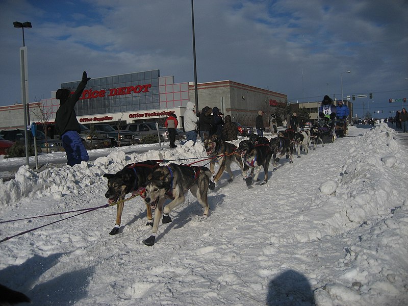 File:2008 Iditarod Anchorage (2311629751).jpg