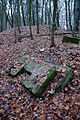 Stadtforst Eberswalde; Kaiser-Wilhelm-Gedächtnisturm; Reste der Ruine